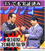 TV�ł����؍ς݂̂��̌��ʁI